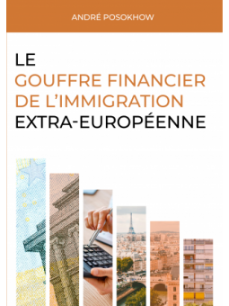 Le gouffre financier de l’immigration extra-européenne