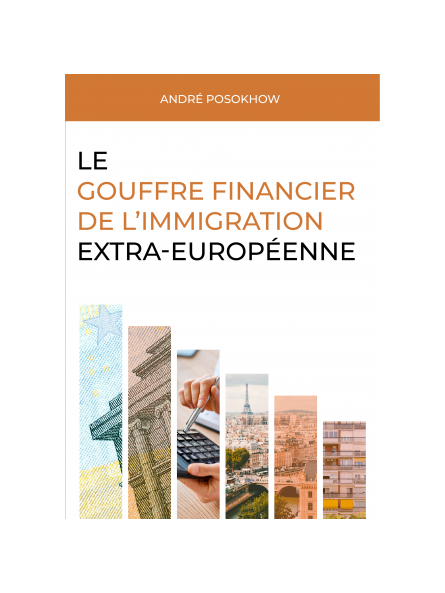 Le gouffre financier de l’immigration extra-européenne