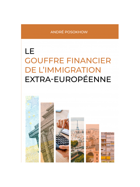 Le gouffre financier de l’immigration extra-européenne