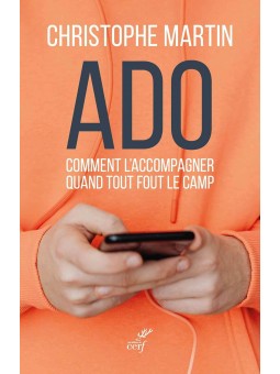 Ado: Comment l'accompagner quand tout fout le camp