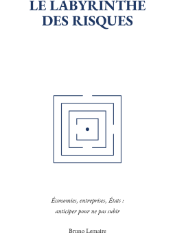 Le Labyrinthe des Risques