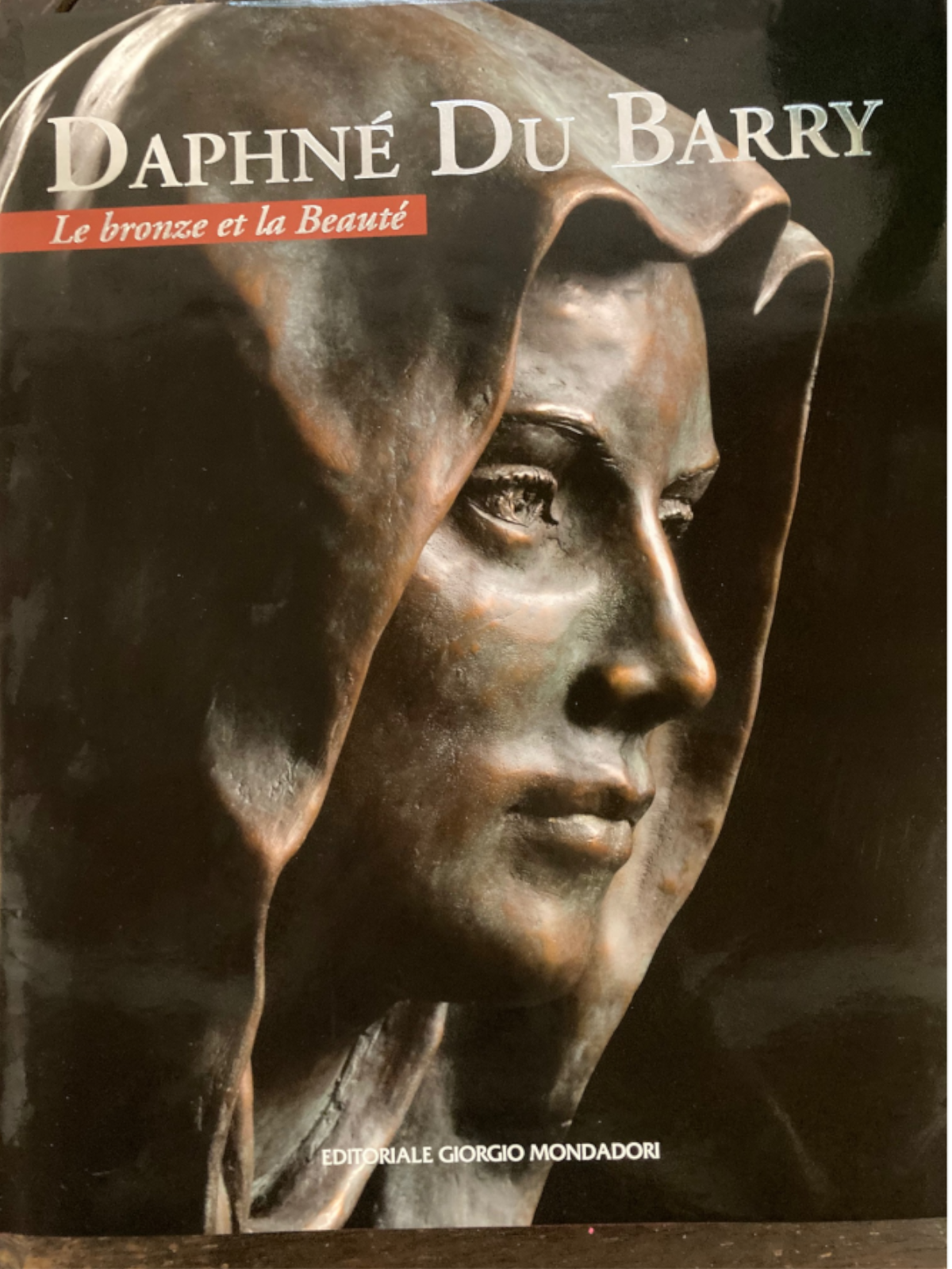 Daphné Du Barry : Le Bronze et la Beauté