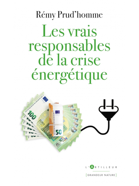 Rémy Prud'homme : les vrais responsables de la crise énergétique