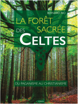 La forêt sacrée des Celtes