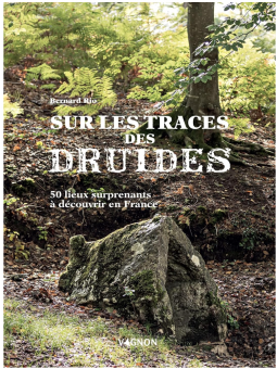 Bernard Rio: Sur les traces...