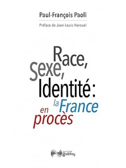 Race, sexe, identité: la France en procès: Réflexion sur une décivilisation