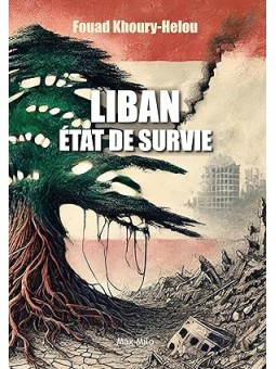 Liban, État de survie