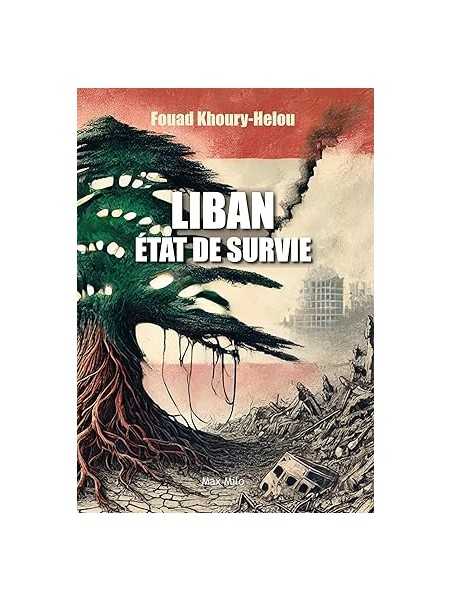 Liban, État de survie